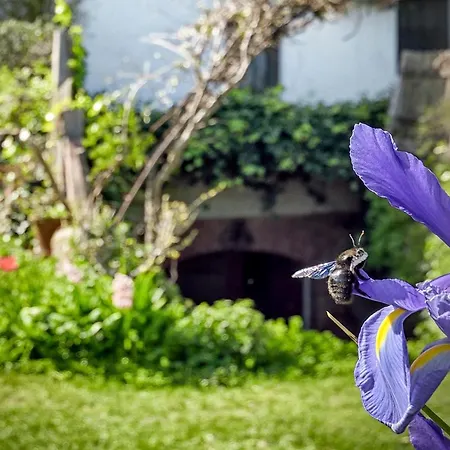 La Solana De Monfraguee 말파르티다데플라센시아