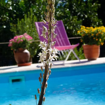 Apartment La Solana De Monfraguee *