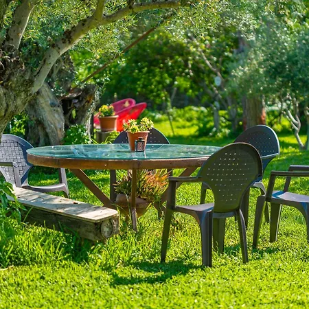 La Solana De Monfraguee *