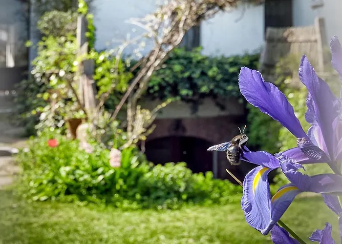 La Solana De Monfraguee Malpartida De Plasencia