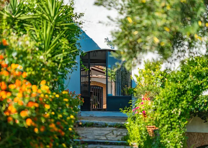 La Solana De Monfraguee